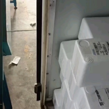 正宗大口鲶鱼苗免费技术指导养殖场直发价格优惠欢迎来电