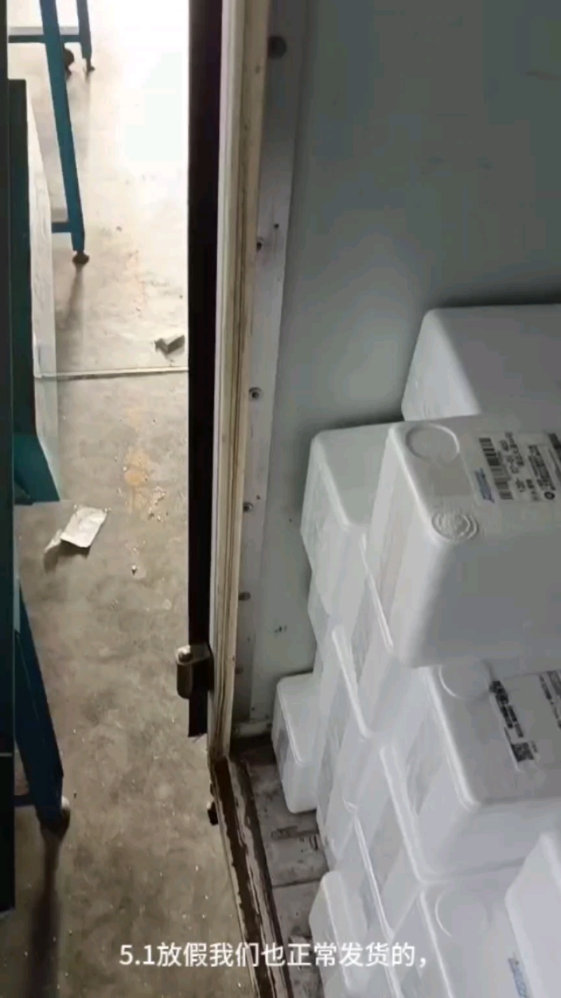 正宗大口鲶鱼苗免费技术指导养殖场直发价格优惠欢迎来电