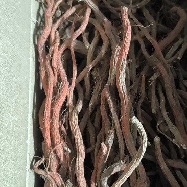 丹参一级，沂蒙山山区里的特产，批发零售产地直发