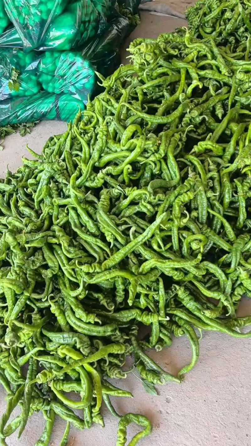 螺丝辣椒少量上市，硬度好可配车！