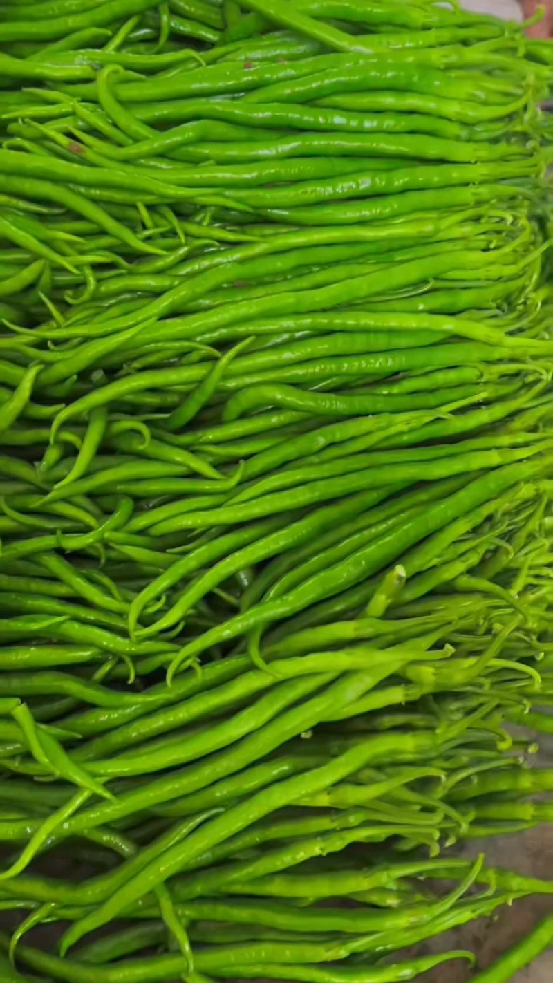 青线椒精品大量.通货.电商货.量大从优货源充足可发全国