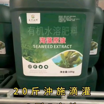 海藻精浓缩液促根壮苗抗逆膨果增产改良土壤海藻酸有机水溶肥