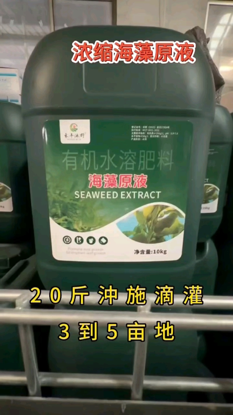 海藻精浓缩液促根壮苗抗逆膨果增产改良土壤海藻酸有机水溶肥