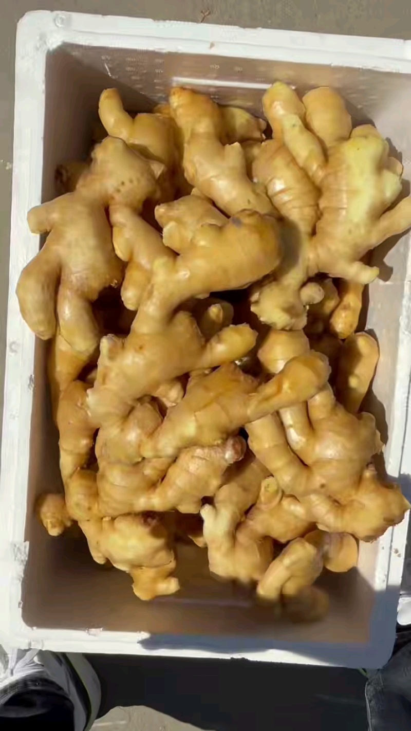 山东精品水洗大黄姜，货源充足价格便宜！