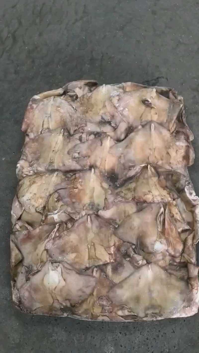 鱿鱼耳尾巴300/500～200/4000欢迎选购