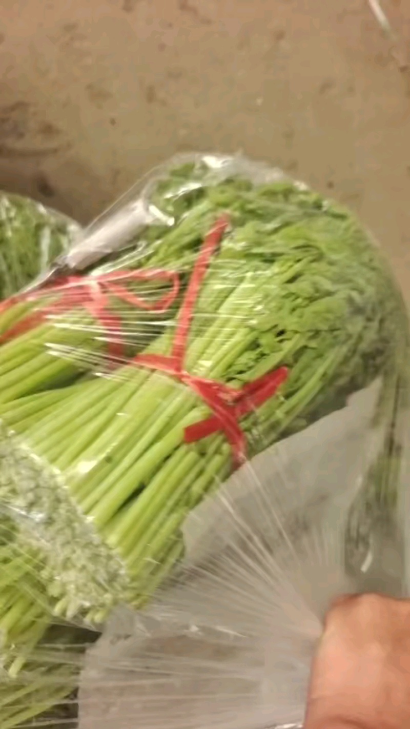 【平台力推】产地直发【诚信经营】保质保量【量大从优】茼蒿