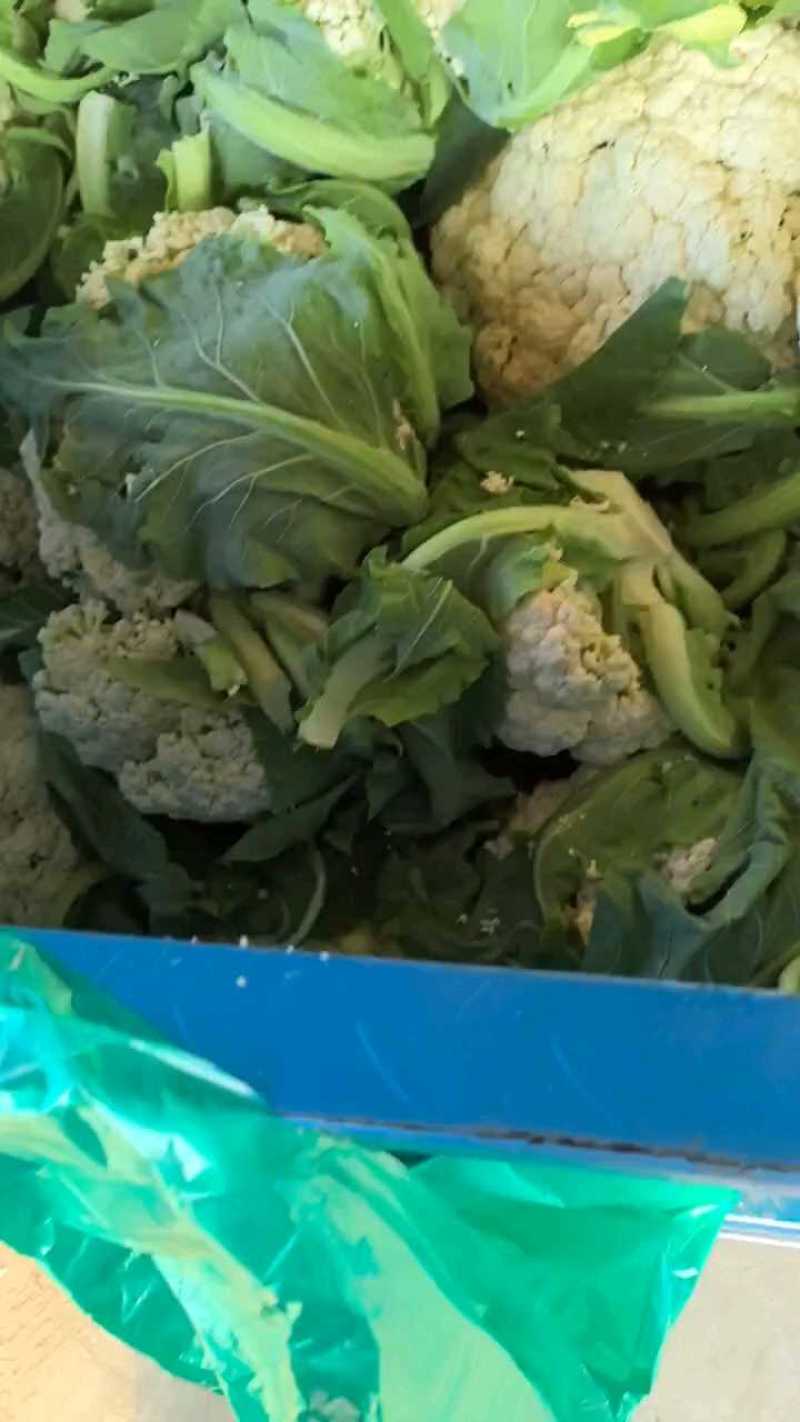 急售江苏有机花菜，散花菜！质量保证！价格便宜！
