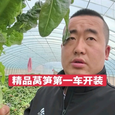精品红笋第一车开装，好货抢购中！