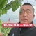 精品红笋第一车开装，好货抢购中！