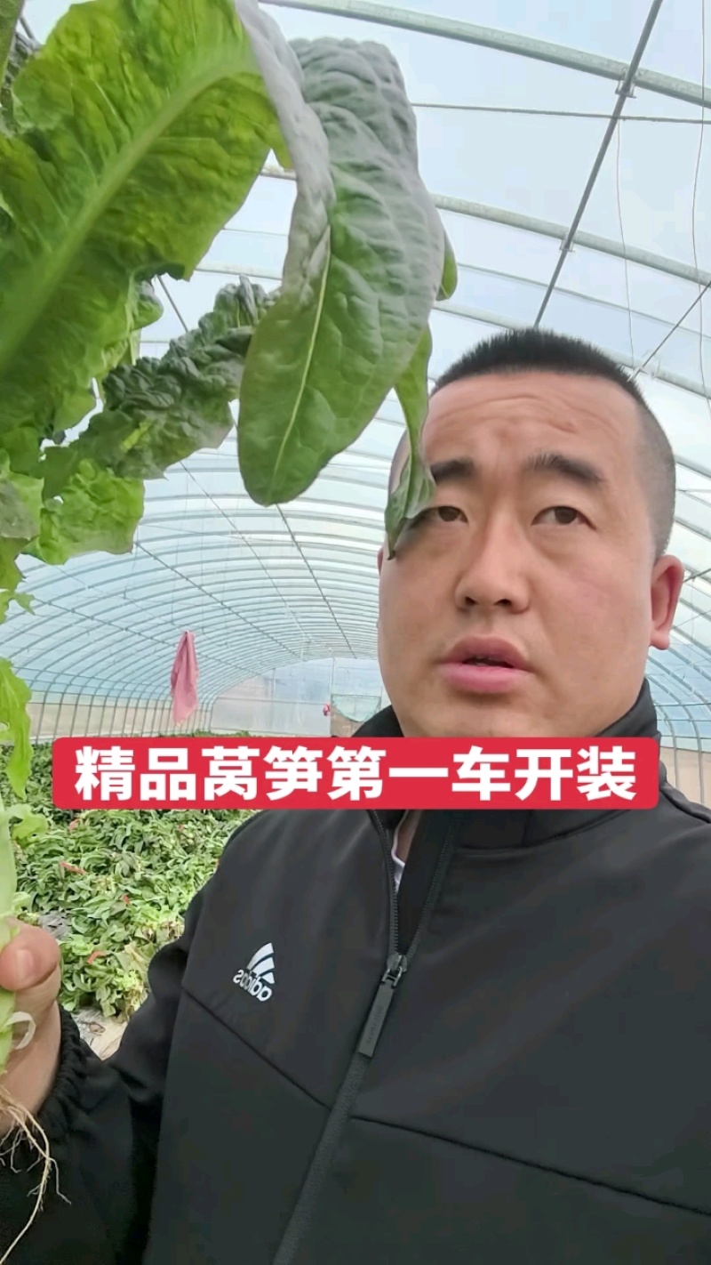 精品红笋第一车开装，好货抢购中！