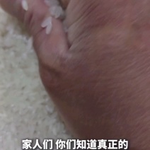 五常稻花香2号香米基地核心产区自产自销诚信经营