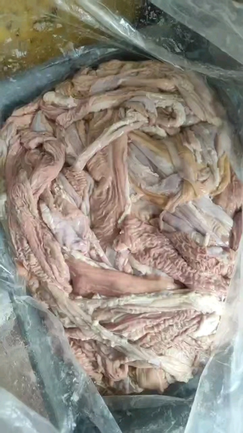 牛小肠特别干净，30斤一件！