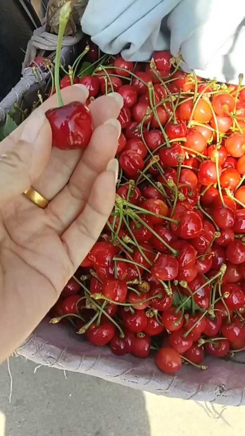 红宝石大量上市，价格超便宜！