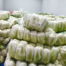 湖北黄心白菜黄心大白菜白菜大量供应可视频看货欢迎来