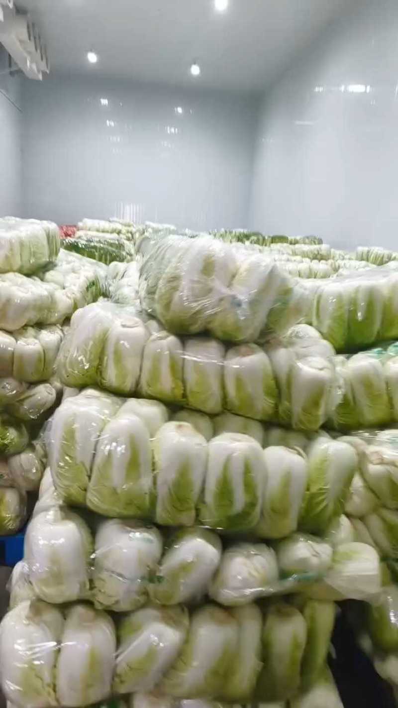 湖北黄心白菜黄心大白菜白菜大量供应可视频看货欢迎来