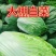 大白菜上巿基地货专业拍摘装团队为你服务！