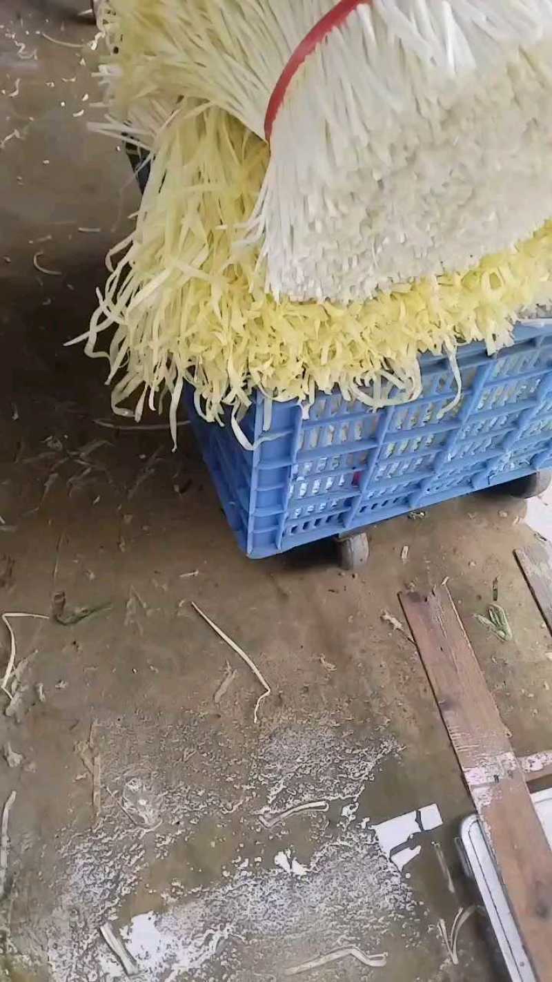 韭黄
