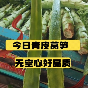精选莴笋杆，青肉青皮无空心，产地直发，一手货源