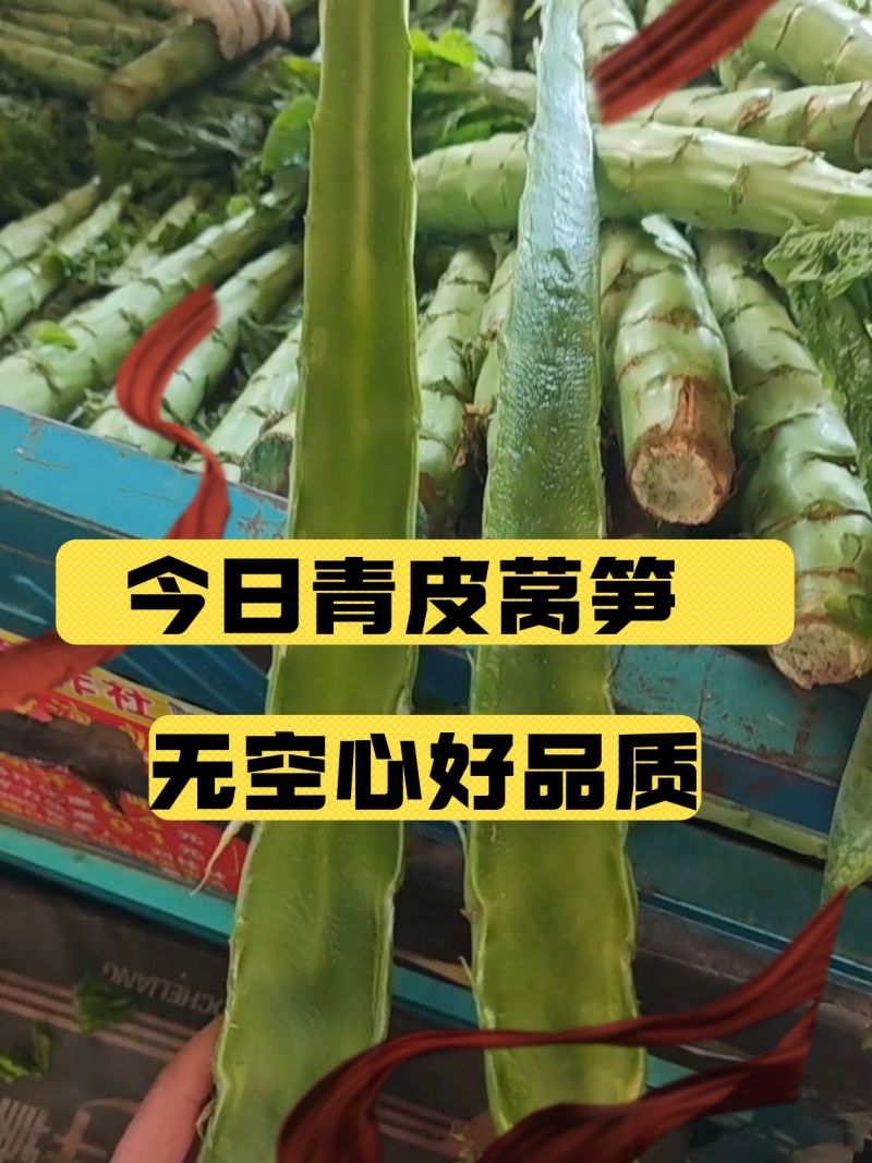 精选莴笋杆，青肉青皮无空心，产地直发，一手货源