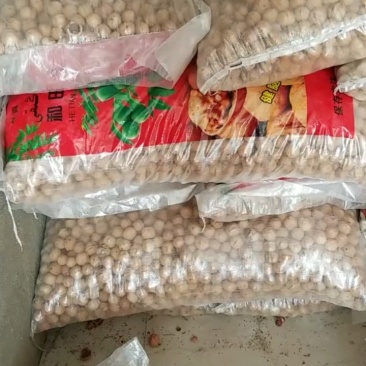 新疆薄皮核桃3.5元/斤，直径3公分，果仁饱满！