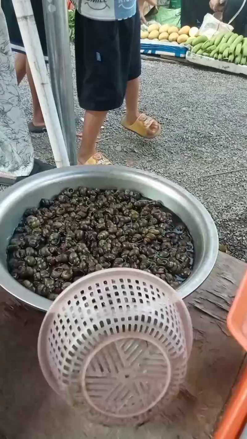 田螺