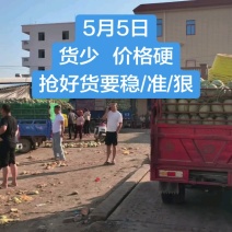 海南哈密瓜西州蜜（晓蜜25）2.5-6斤，脆甜爽口