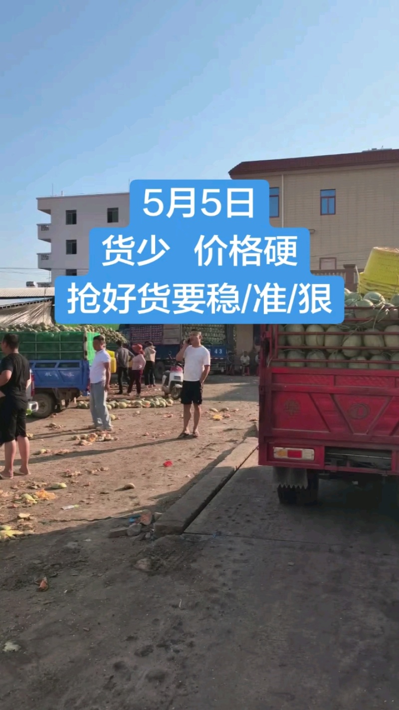 海南哈密瓜西州蜜（晓蜜25）2.5-6斤，脆甜爽口