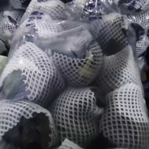 [推荐]紫甘蓝大量供应支持各种包装规格，全国发货