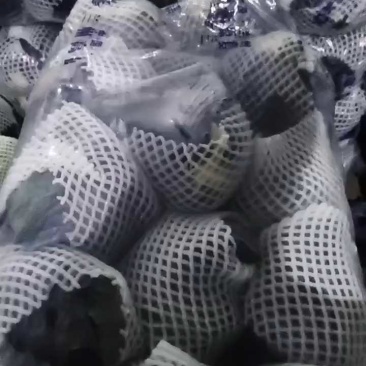 [推荐]紫甘蓝大量供应支持各种包装规格，全国发货