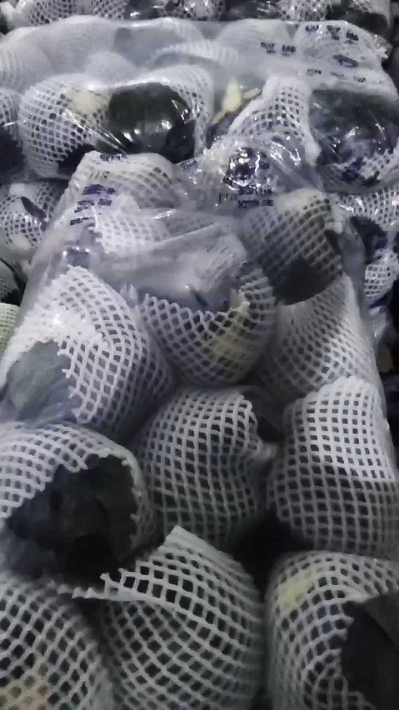 [推荐]紫甘蓝大量供应支持各种包装规格，全国发货