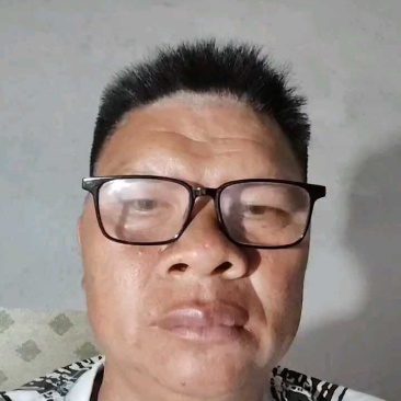 广西玉林精品小驳骨，品质好，无农药残留纯野生的，自产自销