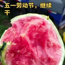 赣州会昌无籽美都麒麟，产地江西赣州，大棚基地种植