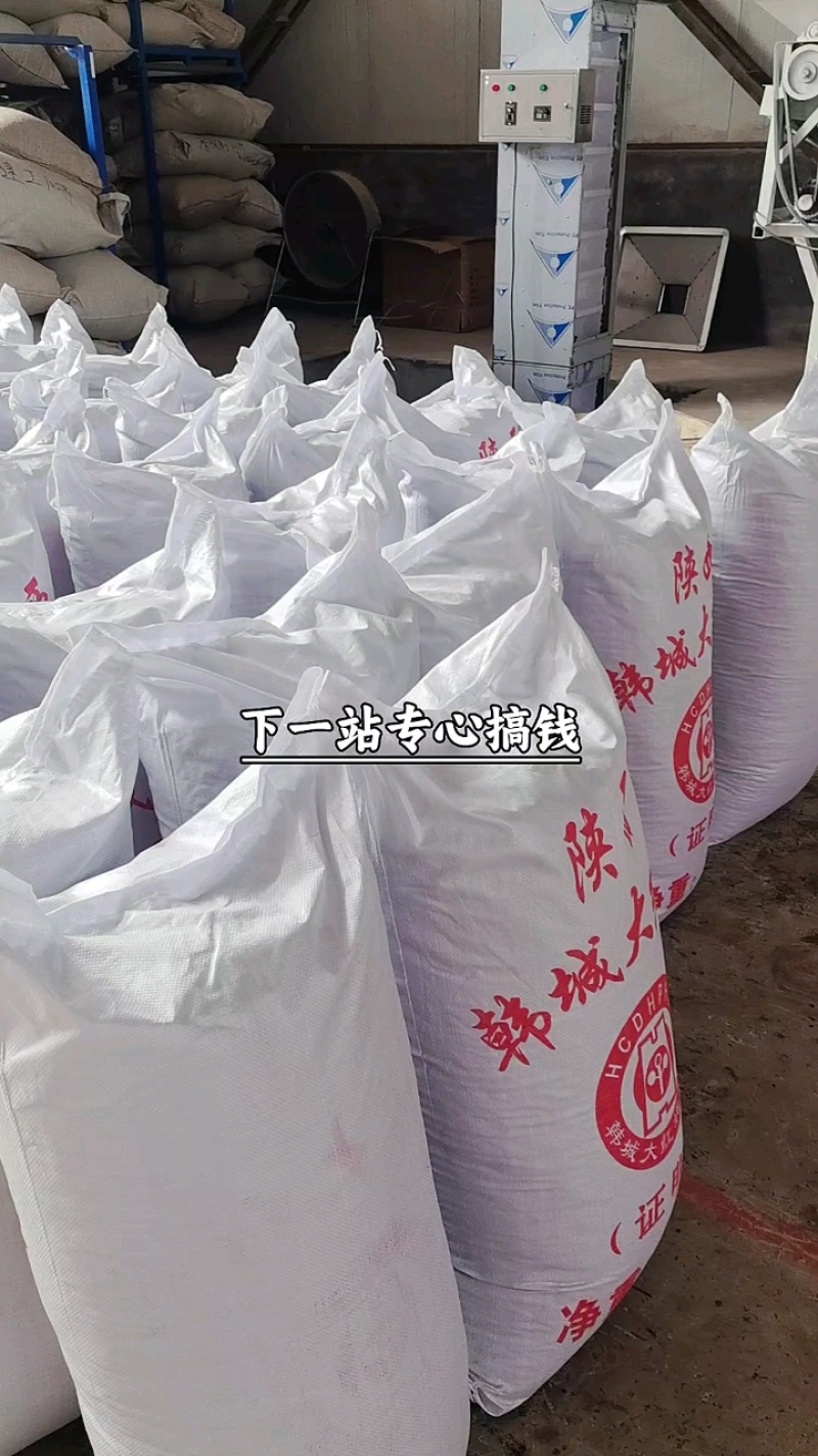 《实力》陕西韩城大红袍花椒新货纯净味纯又香又麻又浓