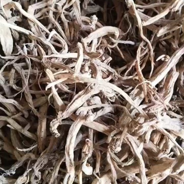 云南精品中药材野党参水洗货，品质保证，欢迎大家来电咨询
