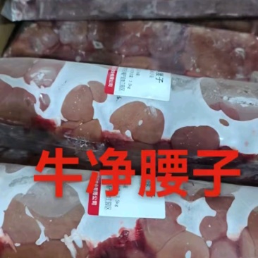 《冷库直发牛腰子》内蒙草地原油牛腰子！粗细均匀性价比高，