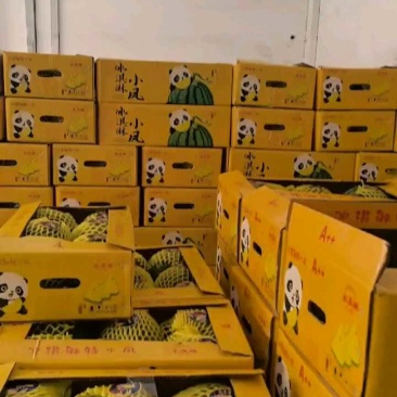 临沂水果市场特小凤2元起，广东货两块多。