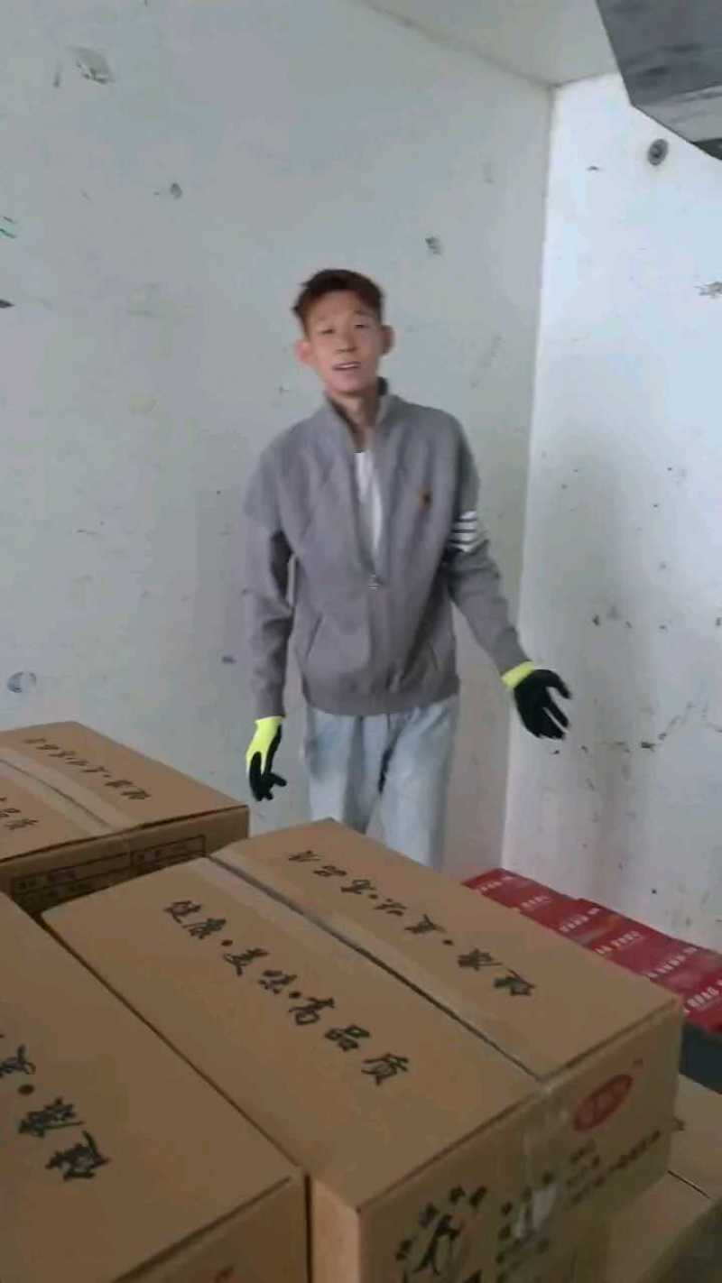 猪金钱骨一箱700片左右纯干不带肉