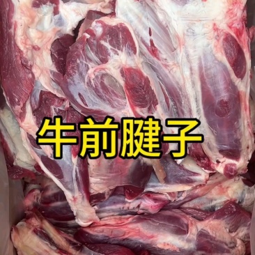 整牛前腿腱子，酱卤皆宜，品质上乘！