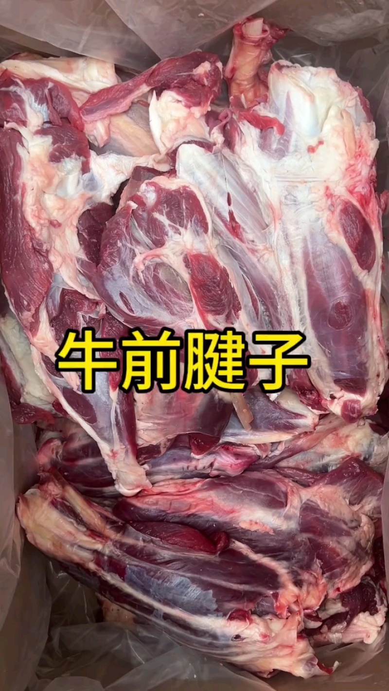 整牛前腿腱子，酱卤皆宜，品质上乘！