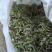 产地直发蒲公英自然全草，沂蒙山山区里的自然蒲公英。