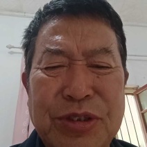 陕西礼泉县纸袋酥梨基地底色白香甜汁多对接商超