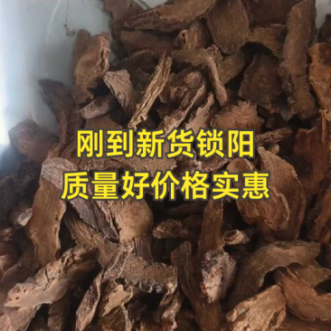 锁阳统片产地内蒙古自治区1000g中药材批发