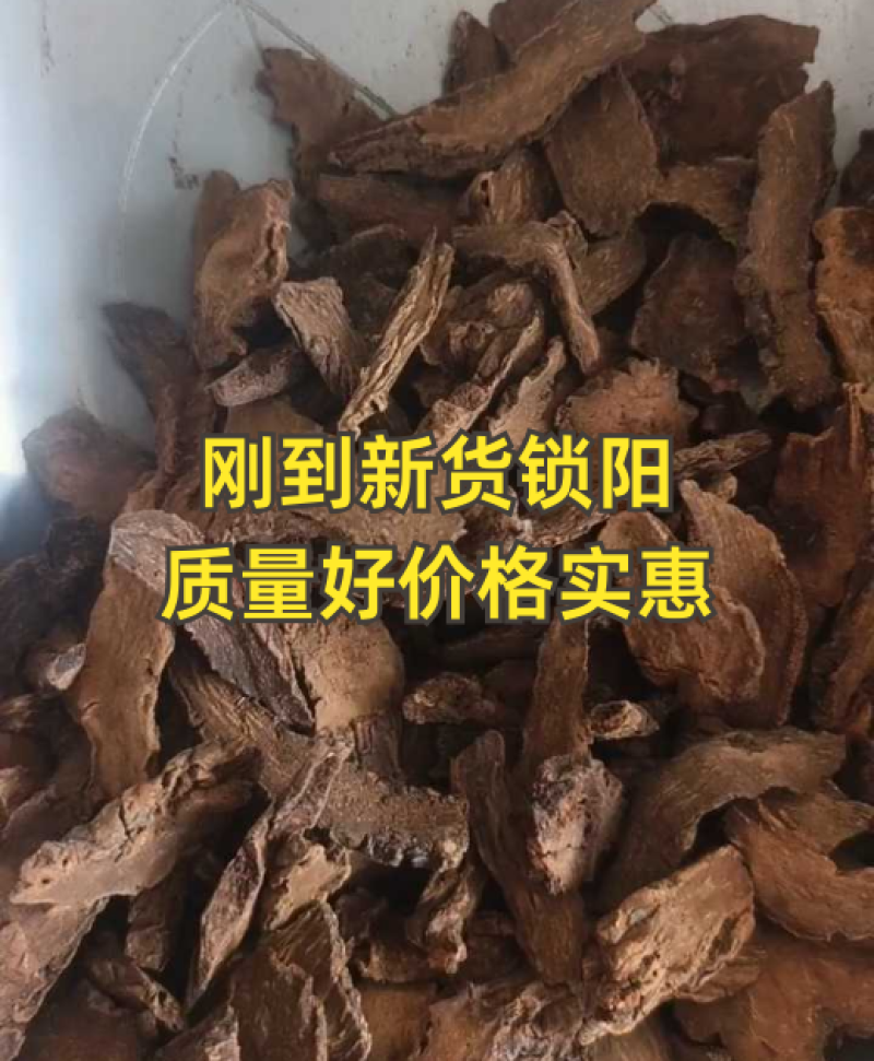 锁阳统片产地内蒙古自治区1000g中药材批发