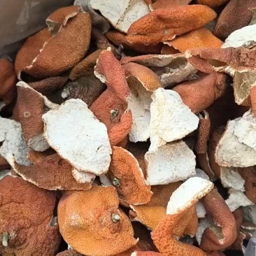 沂蒙山区里的优质陈皮