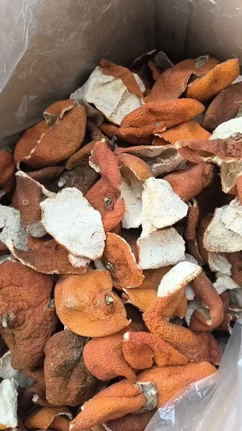 沂蒙山区里的优质陈皮