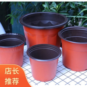 河北廊坊批发加厚双色盆育苗盆简易花盆扦插育苗盆全年有货