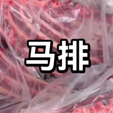 马排新货活马鲜宰可切块大小尺寸可定