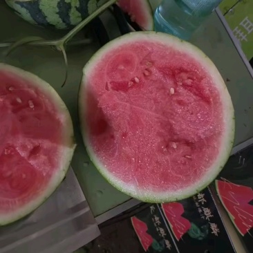 无籽美都西瓜大量上市，本市场货多价美，质量三包。
