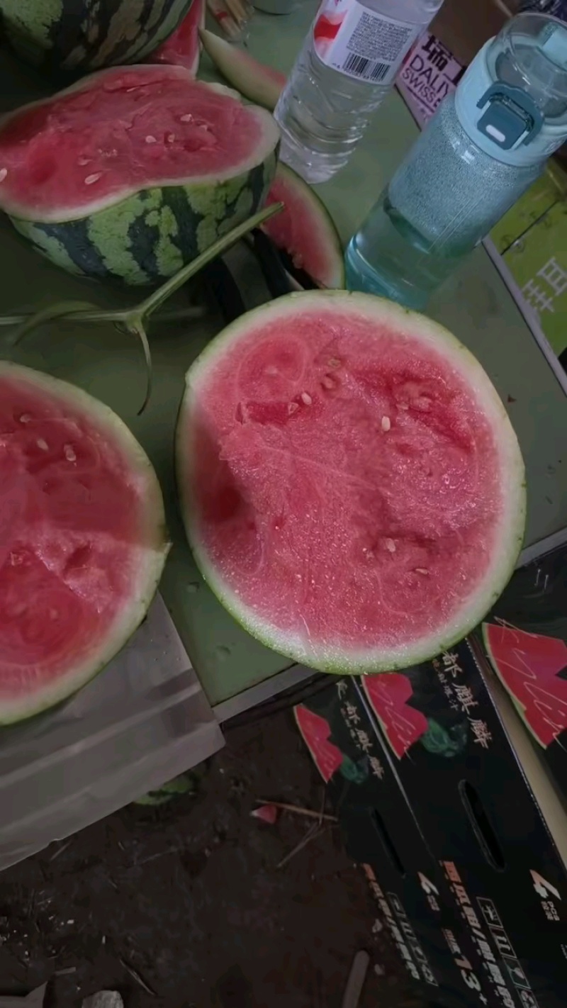 无籽美都西瓜大量上市，本市场货多价美，质量三包。