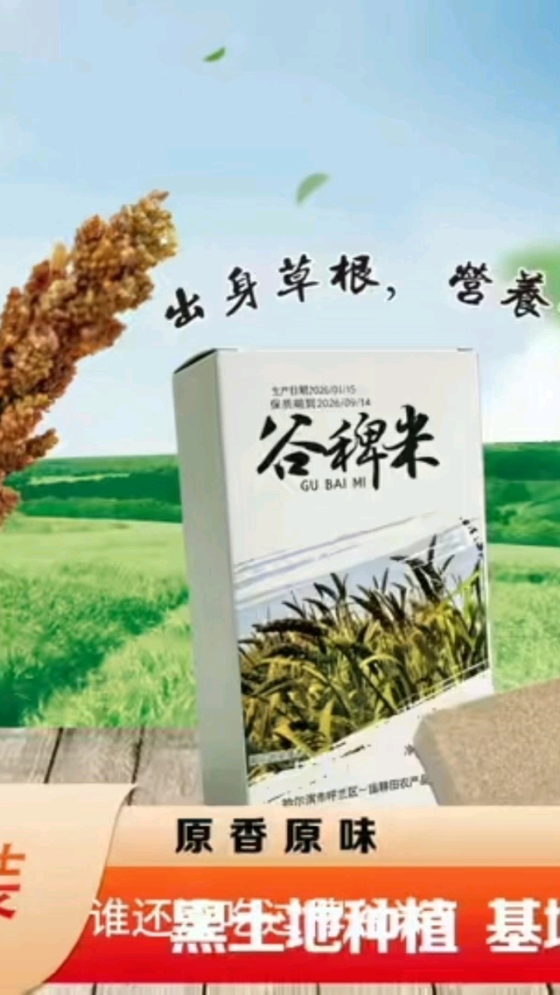 东北特产稗子米